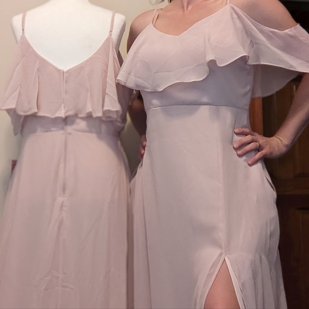NWT Birdy Grey XL Jane Dress Pale Blush Chiffon